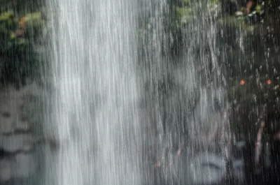 Illustration sheets - Image 1