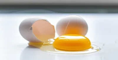 Illustration errors - Image 1