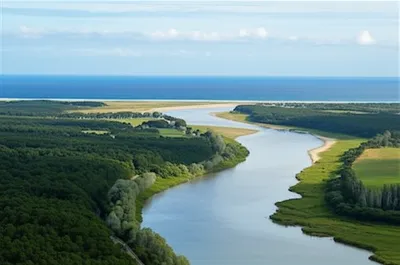 Illustration embouchures - Image 1