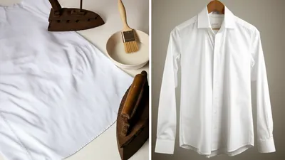 Illustration starch - Image 1