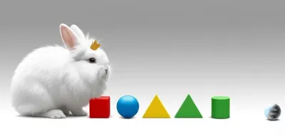 Illustration rabbits - Image 1