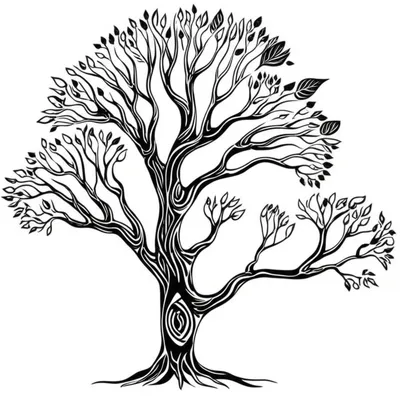 Illustration subgenus - Image 1