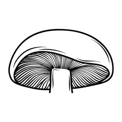 Illustration cap - Image 1