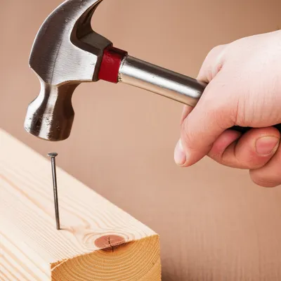 Illustration nailed - Image 1