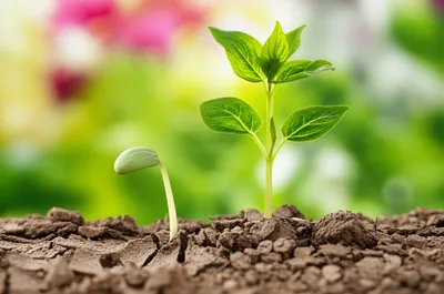 Illustration retarded - Image 1