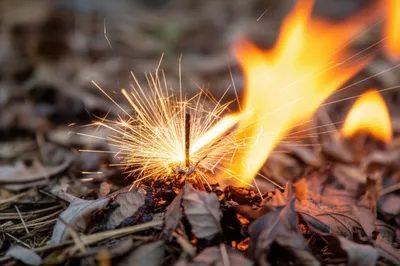 Illustration driven - Image 1