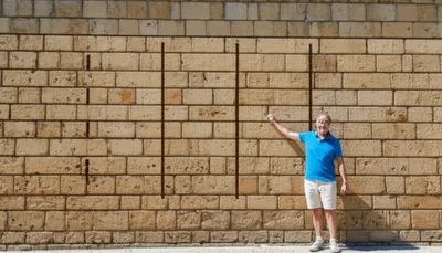 Illustration cannas - Image 1