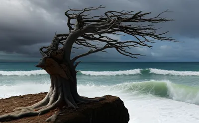 Illustration tribulations