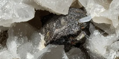 Illustration squats - Image 1