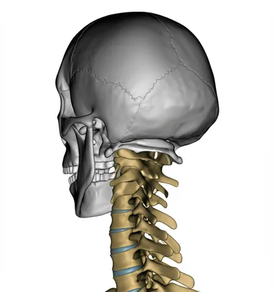 Illustration axes - Image 1