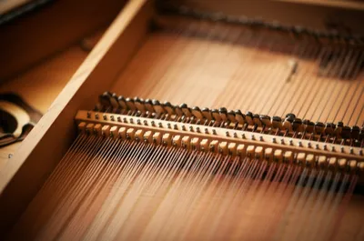 Illustration dispositions - Image 1