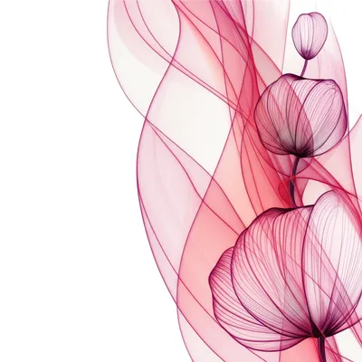 Illustration feminine - Image 1