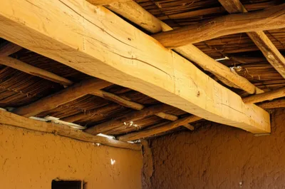 Illustration viga - Image 1