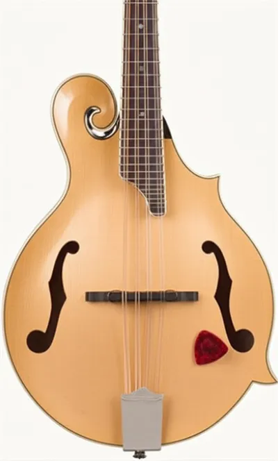 Illustration cittern - Image 1