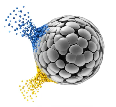 Illustration tau - Image 1