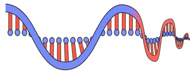 Illustration transcript - Image 1