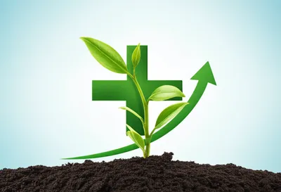 Illustration plus - Image 1