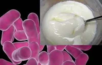 Illustration starter - Image 4