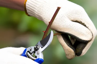 Illustration tends - Image 1