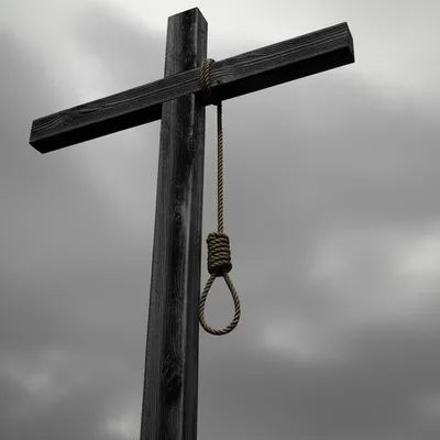 Illustration halters - Image 1