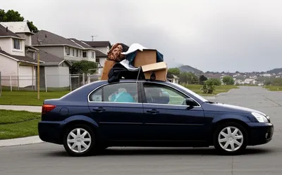 Illustration evacuated - Image 1