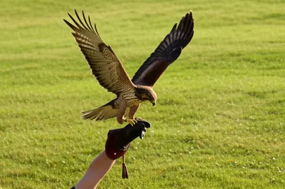 Illustration rappels - Image 1