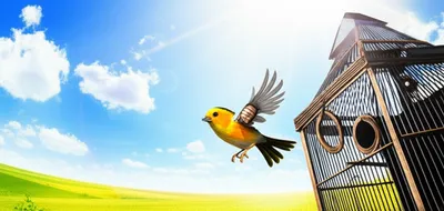 Illustration rescues - Image 1