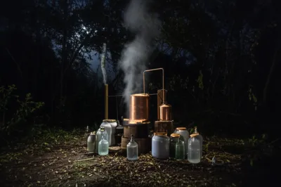 Illustration shines - Image 1