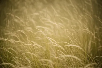 Illustration slash - Image 1