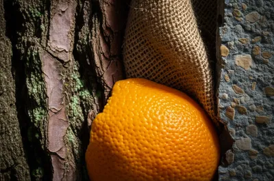 Illustration textured - Image 1