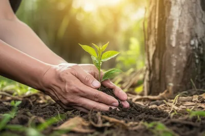 Illustration using - Image 1