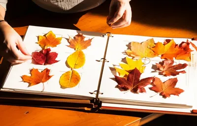 Illustration paged - Image 1