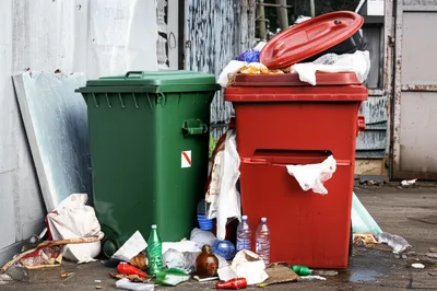 Illustration pigsty - Image 1