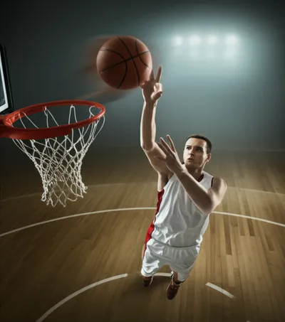 Illustration shots - Image 1