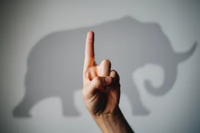 Illustration elephant - Image 1