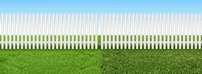Illustration fence