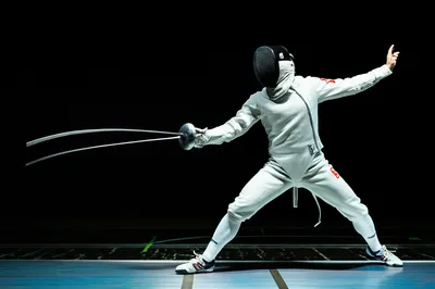 Illustration fence - Image 1