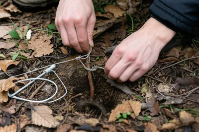 Illustration trap - Image 1