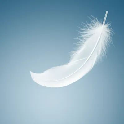 Illustration flying - Image 1