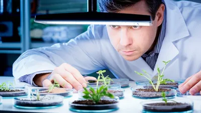 Illustration experimented - Image 1