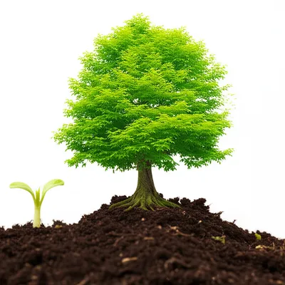 Illustration enlarging - Image 1