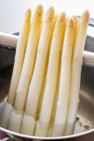 Illustration blanching - Image 1