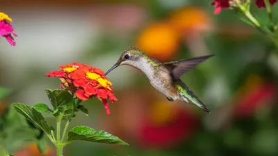 Illustration hit - Image 1