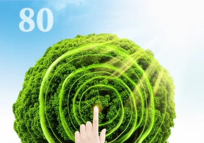 Illustration reaches - Image 1