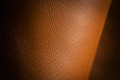 Illustration gr - Image 1