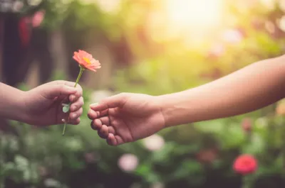 Illustration liking - Image 1