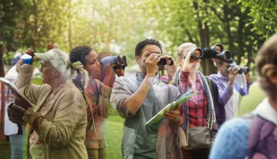 Illustration observers