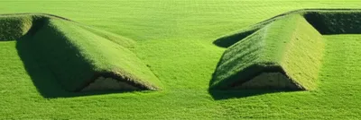 Illustration lunette - Image 1