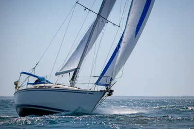 Illustration stretching - Image 1