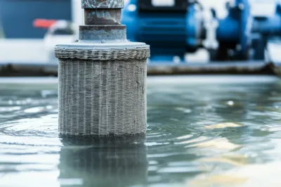 Illustration cages - Image 1